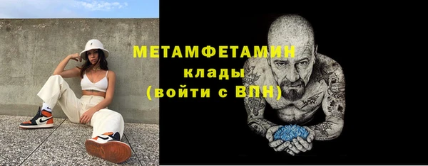 ПСИЛОЦИБИНОВЫЕ ГРИБЫ Горно-Алтайск