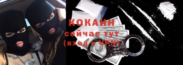 крисы Горняк