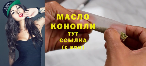 крисы Горняк