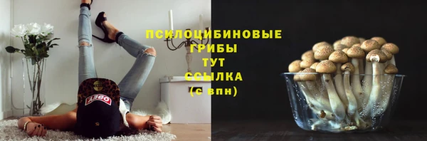 крисы Горняк