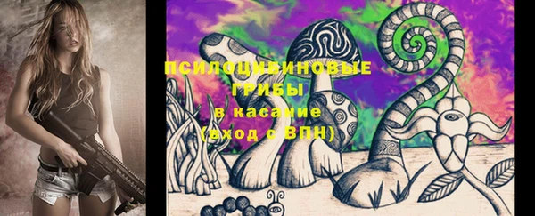 крисы Горняк