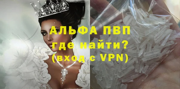 крисы Горняк