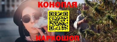 a pvp Брянск