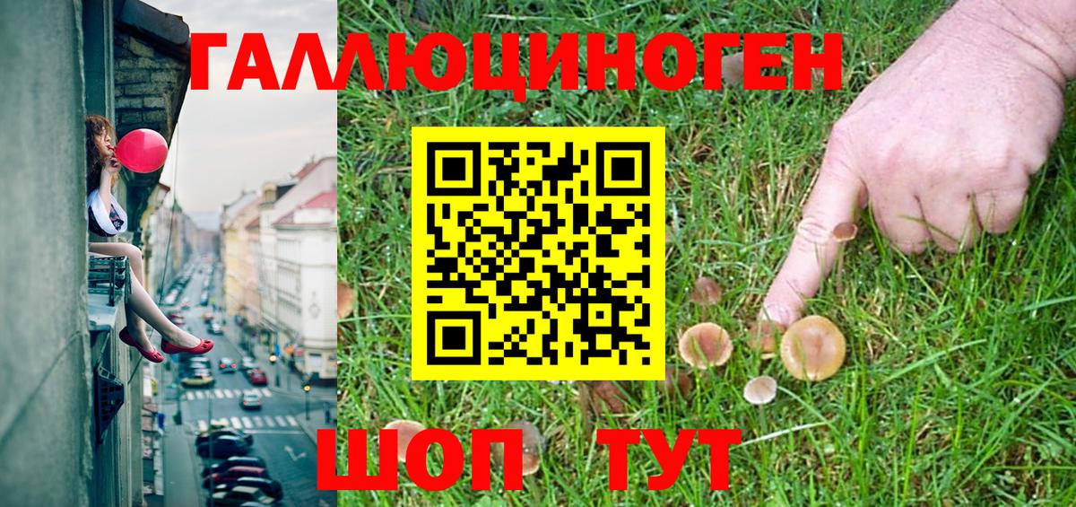 Галлюциногенные грибы Magic Shrooms  Псилоцибиновые грибы Cubensis  Борзя 