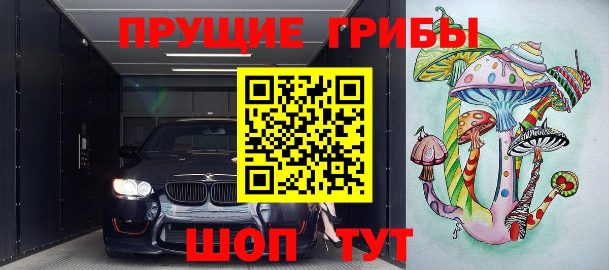 Борзя  Галлюциногенные грибы Psilocybine cubensis  Вход с VPN 