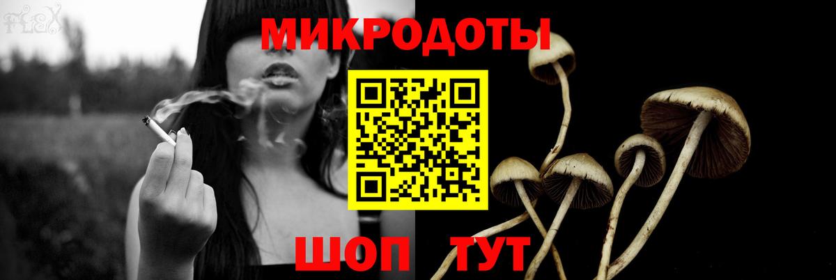 Галлюциногенные грибы Psilocybine cubensis Борзя