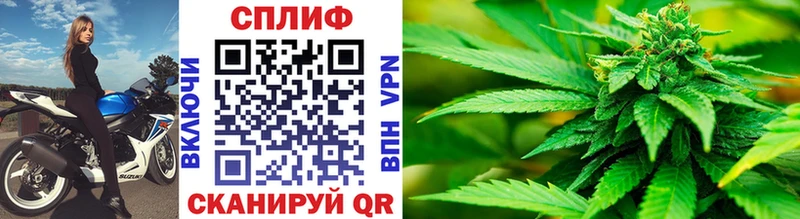 Конопля SATIVA & INDICA Борзя