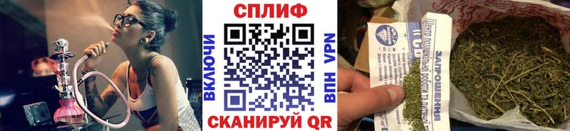 гидра вход  Борзя  Бошки марихуана White Widow 